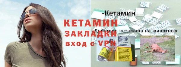 твердый Краснослободск