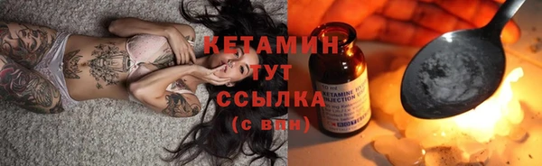 твердый Краснослободск
