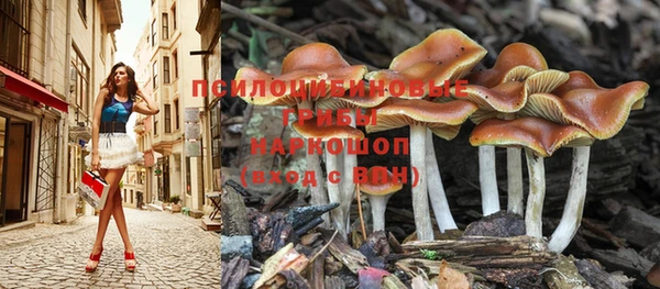 твердый Краснослободск