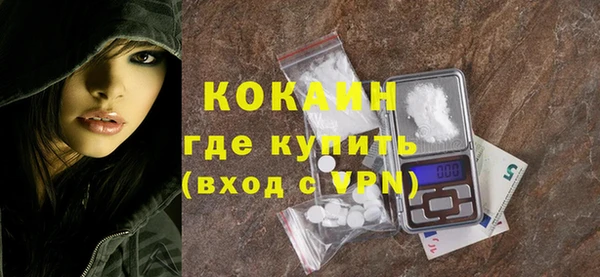 твердый Краснослободск