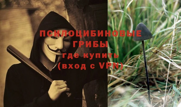 твердый Краснослободск