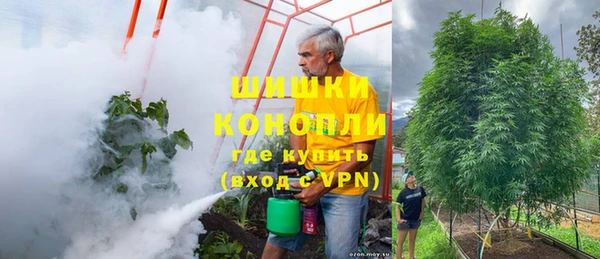 твердый Краснослободск