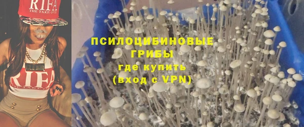 твердый Краснослободск