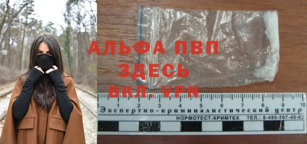 твердый Краснослободск