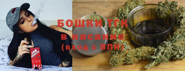 твердый Краснослободск