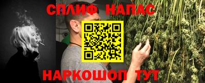 стафф Владимир