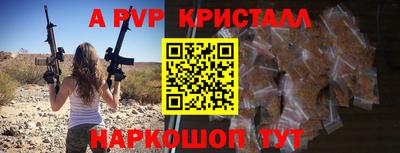 спиды Боровичи