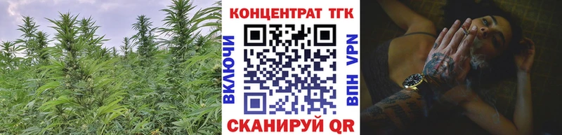 mega зеркало Северодвинск ТГК THC oil
