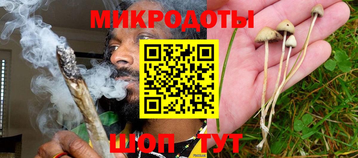 Северодвинск  Псилоцибиновые грибы Psilocybine cubensis  Вход с VPN 