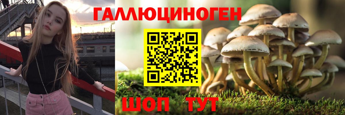 Галлюциногенные грибы мицелий Северодвинск
